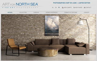 Site internet ecommerce art for north sea